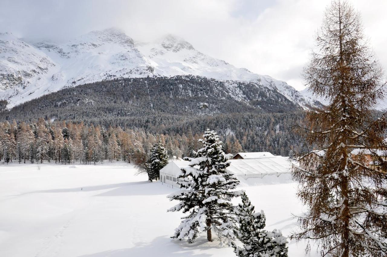 Cosy Apartment Facing Piz Rosatsch 圣莫里茨 外观 照片